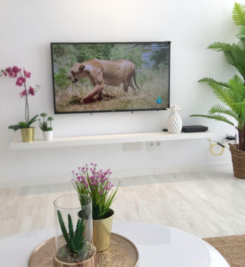 Stunning Spacious City Apartment With Free Parking Màlaga Exteriér fotografie